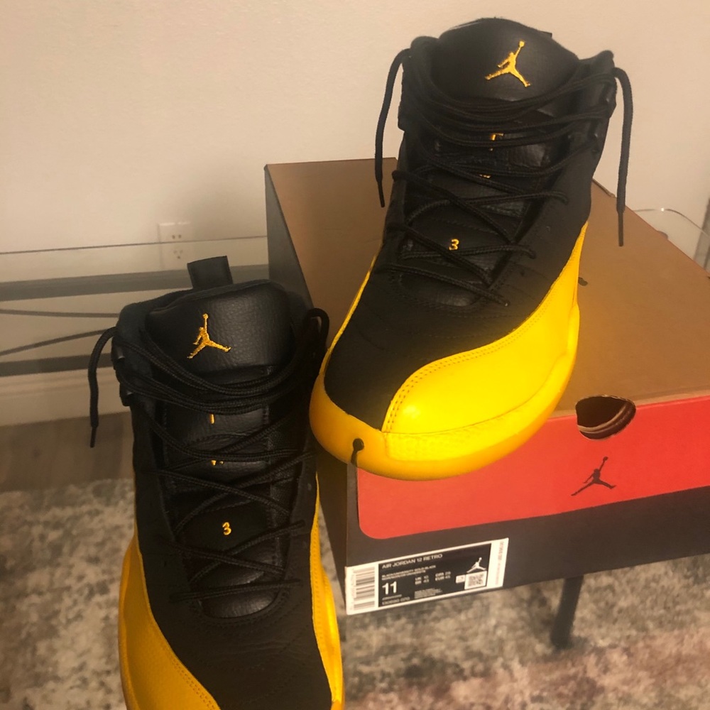 Jordan retro 12